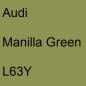 Preview: Audi, Manilla Green, L63Y.